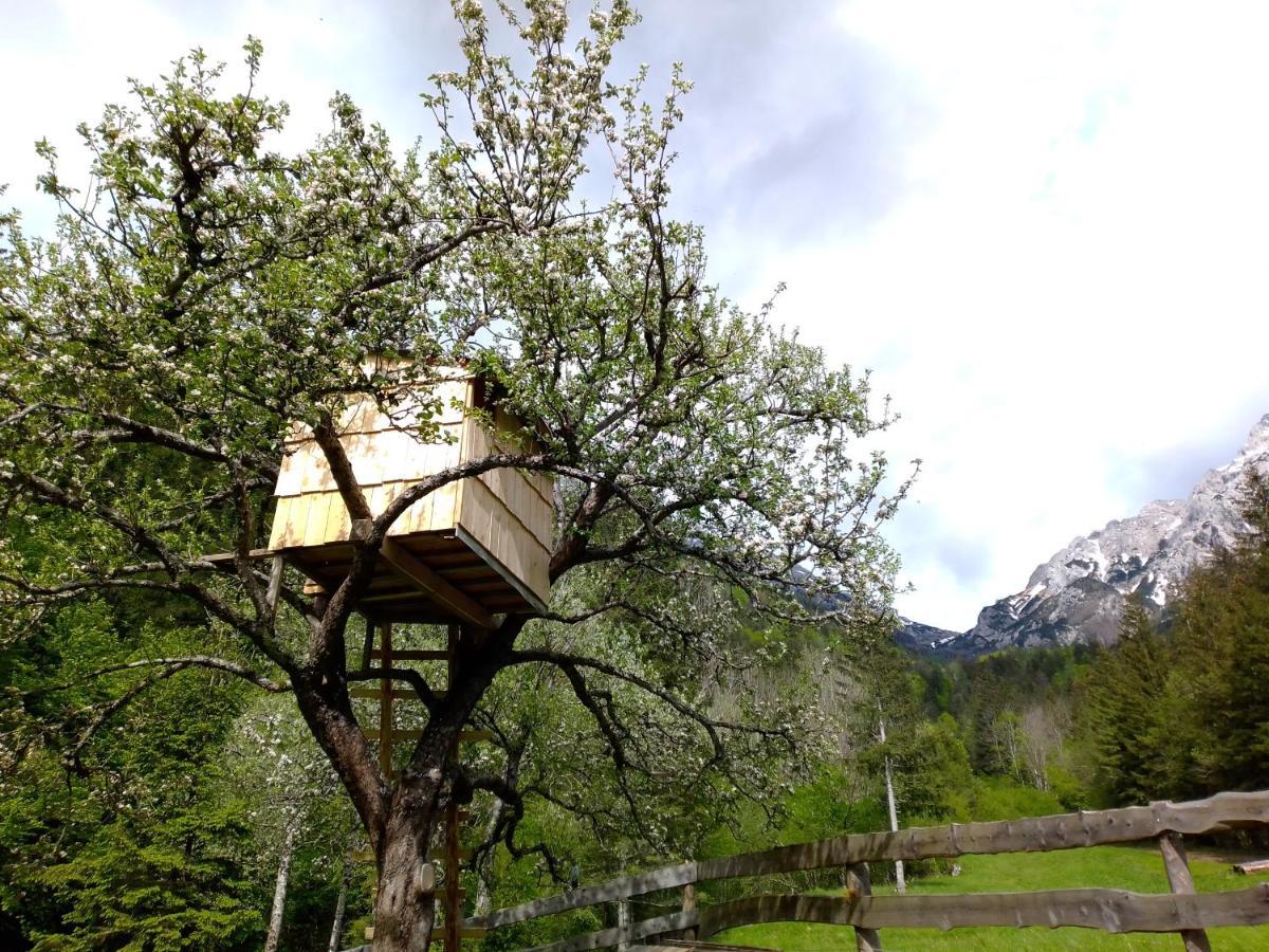 Camping & Glamping Grintovec 프레드보르 외부 사진