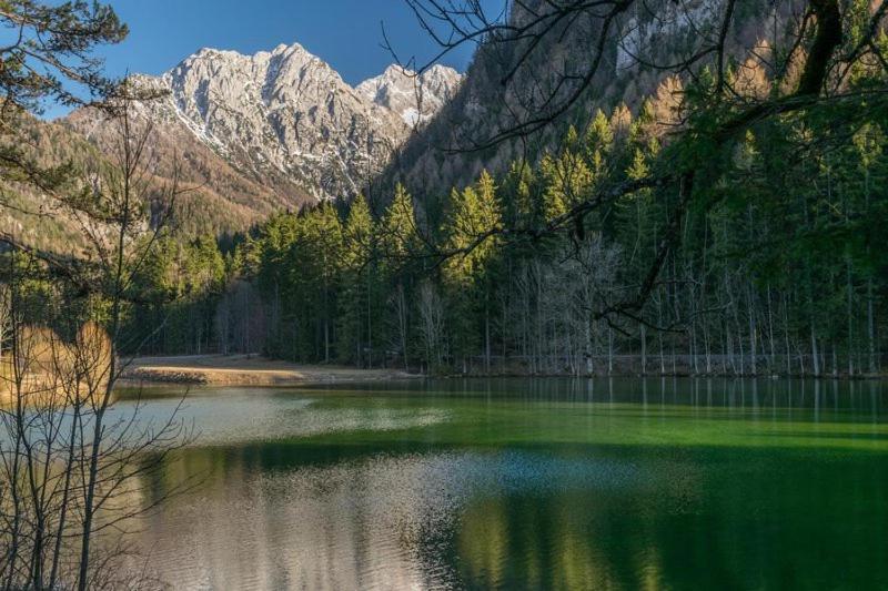 Camping & Glamping Grintovec 프레드보르 외부 사진