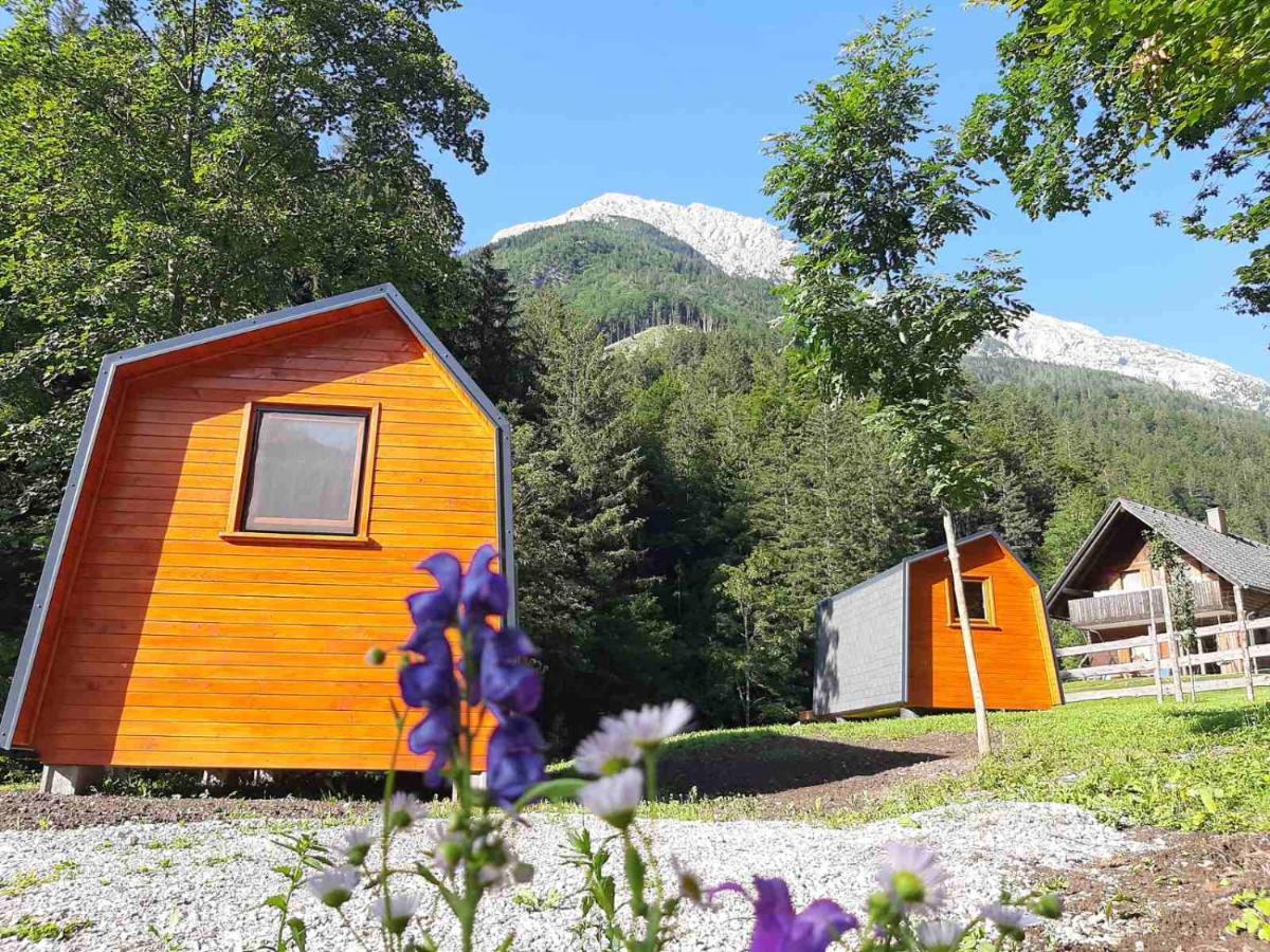 Camping & Glamping Grintovec 프레드보르 외부 사진