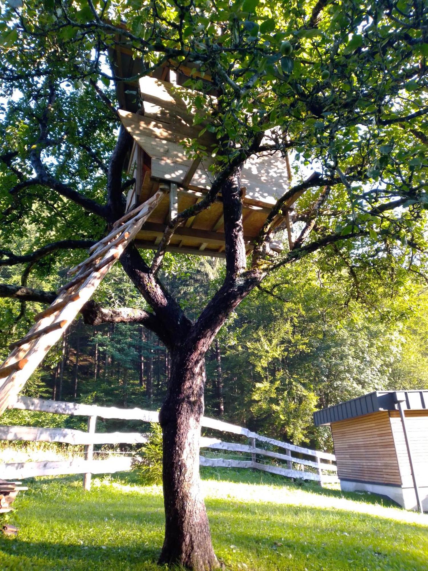 Camping & Glamping Grintovec 프레드보르 외부 사진
