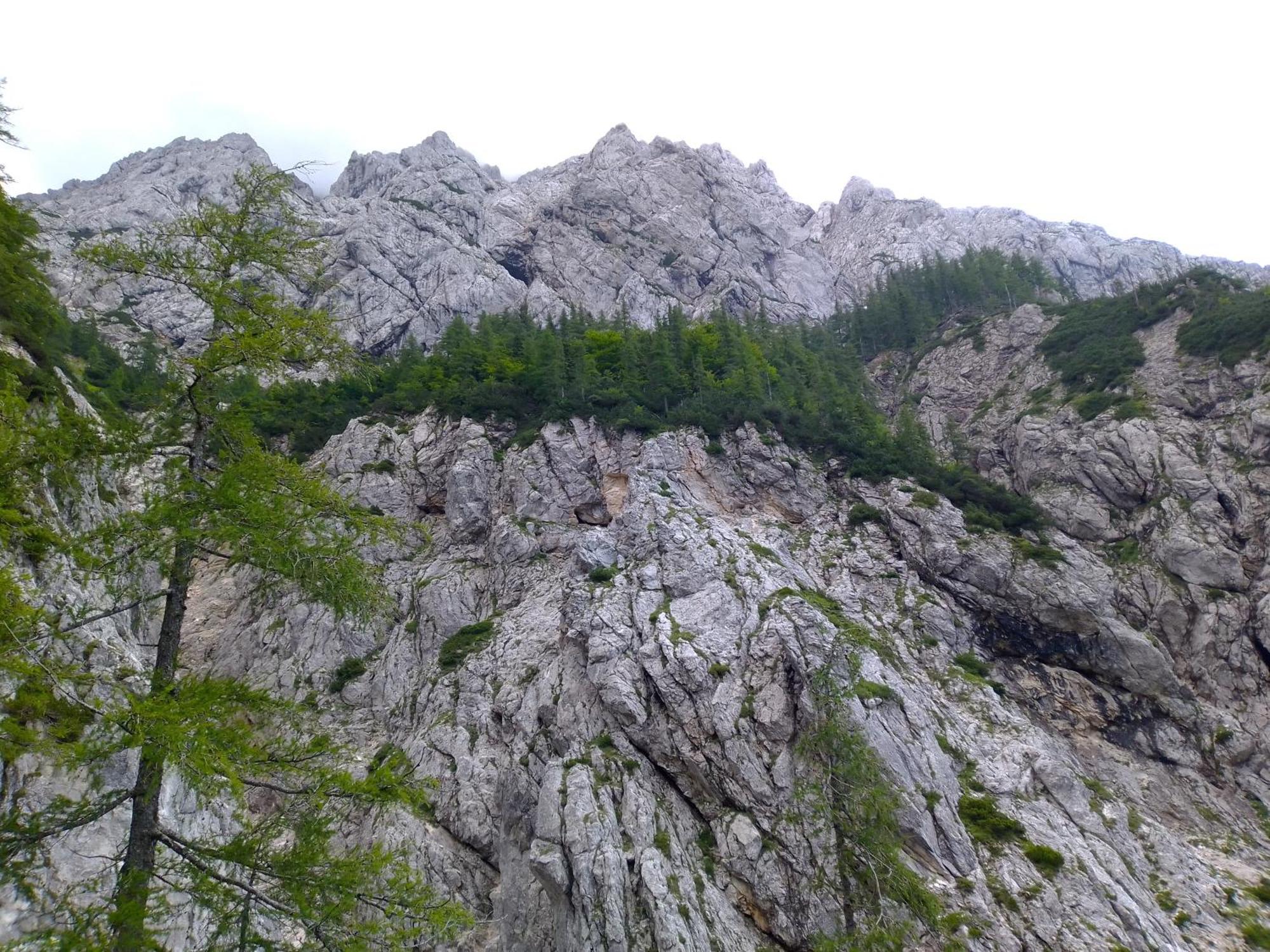 Camping & Glamping Grintovec 프레드보르 외부 사진