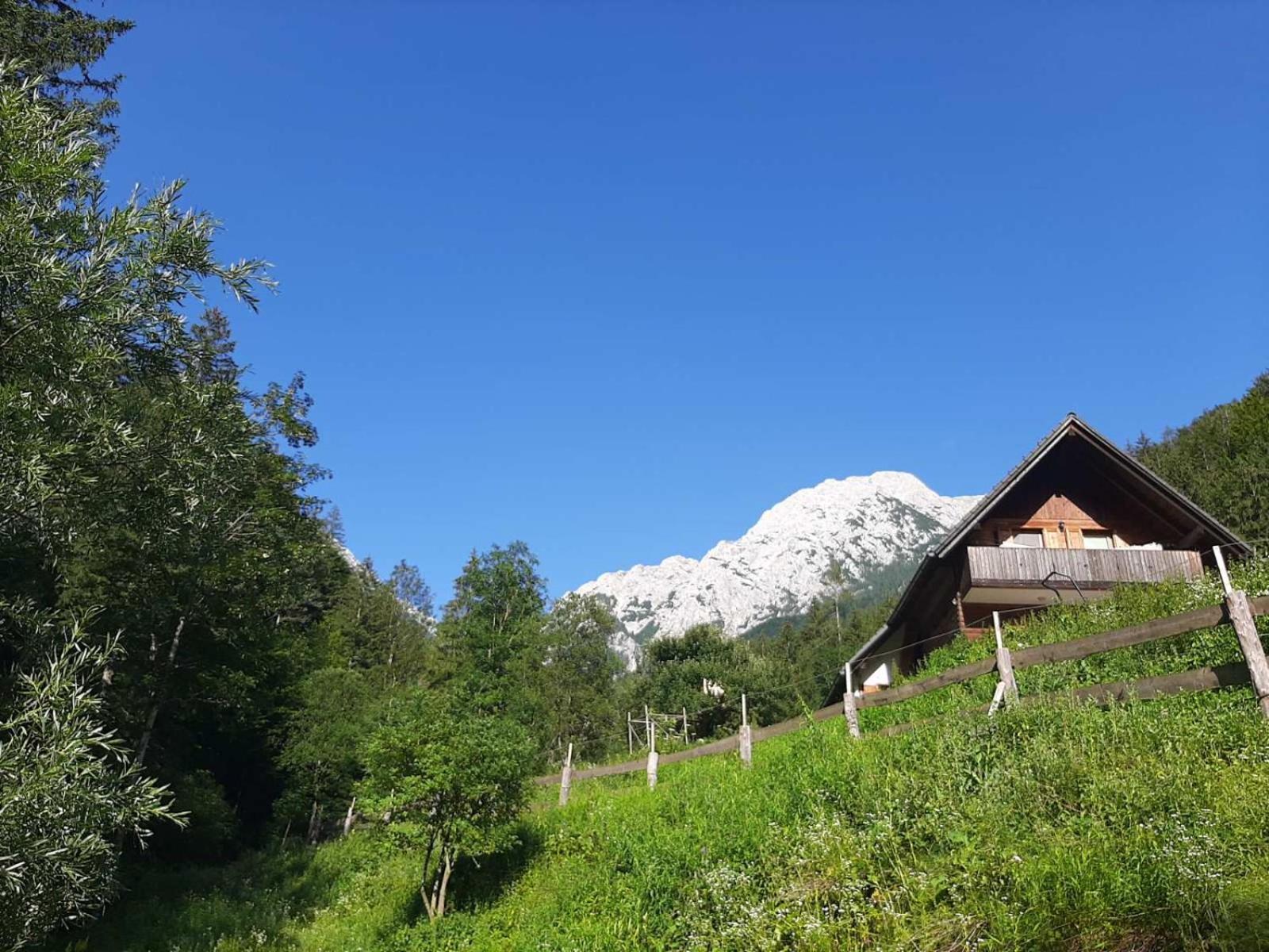 Camping & Glamping Grintovec 프레드보르 외부 사진