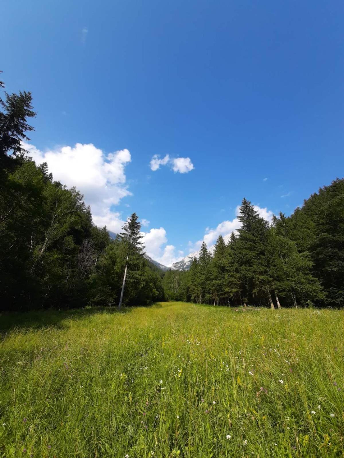 Camping & Glamping Grintovec 프레드보르 외부 사진